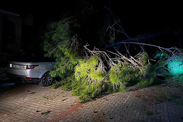 marmaris fırtına, marmaris, marmaris ağaç devrildi, marmaris hava durumu, marmaris şiddetli rüzgar