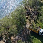 bodrum fırtına, bodrum belediyesi, bodrum, bodrumda devrilen ağaçlar, bodrum belediyesi çalışma