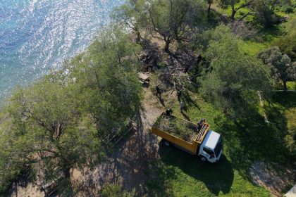 bodrum fırtına, bodrum belediyesi, bodrum, bodrumda devrilen ağaçlar, bodrum belediyesi çalışma