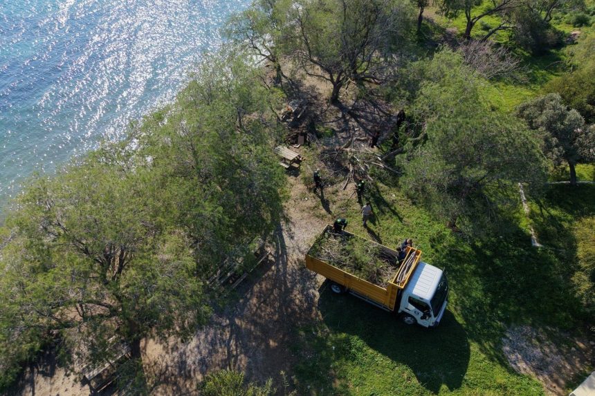 bodrum fırtına, bodrum belediyesi, bodrum, bodrumda devrilen ağaçlar, bodrum belediyesi çalışma