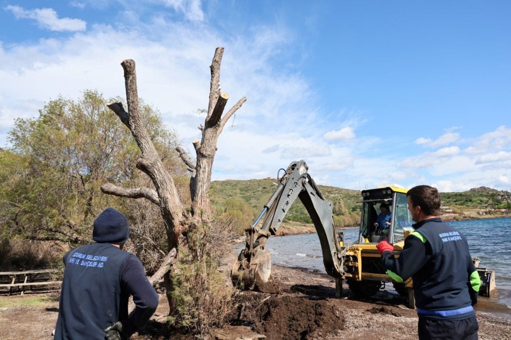 bodrum fırtına, bodrum belediyesi, bodrum, bodrumda devrilen ağaçlar, bodrum belediyesi çalışma