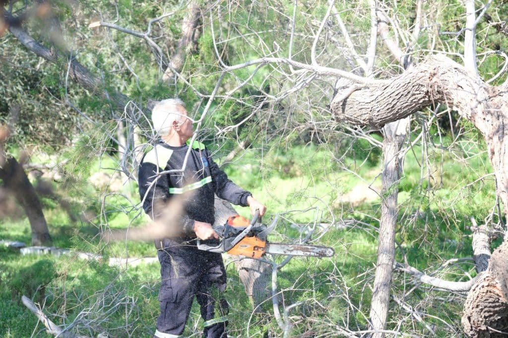 bodrum fırtına, bodrum belediyesi, bodrum, bodrumda devrilen ağaçlar, bodrum belediyesi çalışma