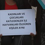 bodrum köpekler, bodrum silahla vurulan köpekler, bodrum köpek, bodrum sokak köpekleri, bodrumda silahla vurulan köpekler