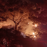 ormanlık alanda yangın bodrum yangın yangın söndürüldü itfaiye bodrum belediyesi