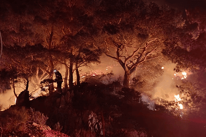 ormanlık alanda yangın bodrum yangın yangın söndürüldü itfaiye bodrum belediyesi