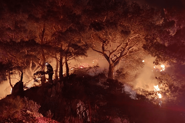 ormanlık alanda yangın bodrum yangın yangın söndürüldü itfaiye bodrum belediyesi