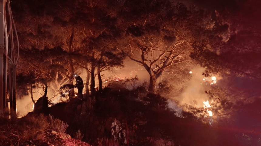 ormanlık alanda yangın bodrum yangın yangın söndürüldü itfaiye bodrum belediyesi