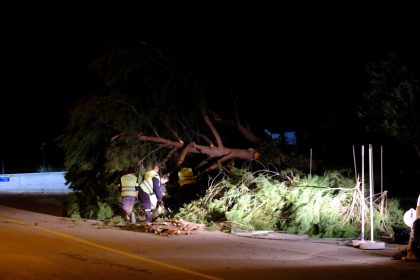 fırtına bodrum devrilen ağaçlar bodrum park ve bahçeler bodrum belediyesi fırtına nedeniyle