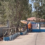 fethiye belediyesi hayvan bakımevi, fethiye belediyesi, fethiye barınak