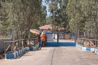 fethiye belediyesi hayvan bakımevi, fethiye belediyesi, fethiye barınak