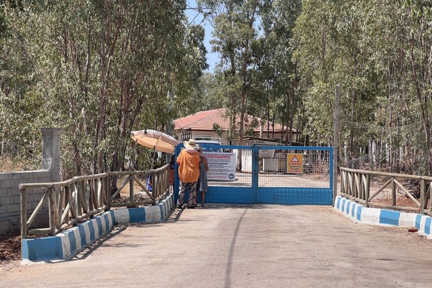 fethiye belediyesi hayvan bakımevi, fethiye belediyesi, fethiye barınak