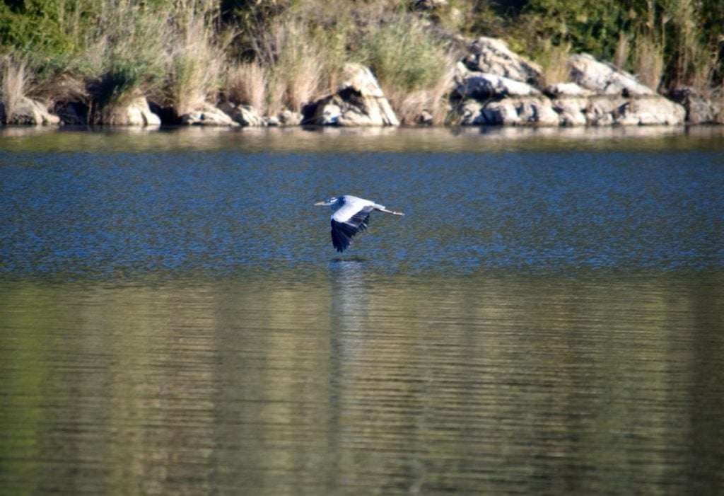 iklim adaleti koalisyonu sulak alan 2 şubat dünya sulak alanlar günü suyun önemi açıklama