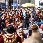 bodrum acı ot festivali, acı ot festivali, bodrum 7 acı ot festivali, bodrum suzan kardeş, bodrum ot festivali