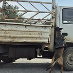 bodrum tatil, bodrum ramazan bayramı, bodrum ramazan, bodrum bayram, bodrum