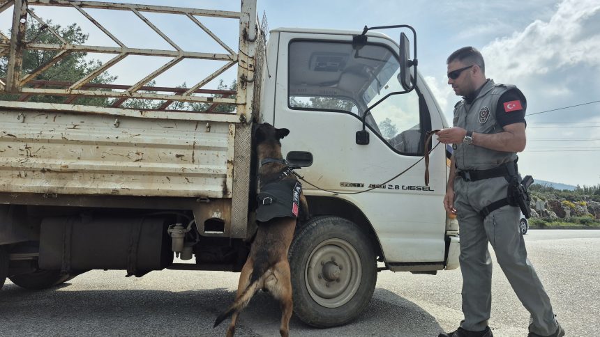 bodrum tatil, bodrum ramazan bayramı, bodrum ramazan, bodrum bayram, bodrum