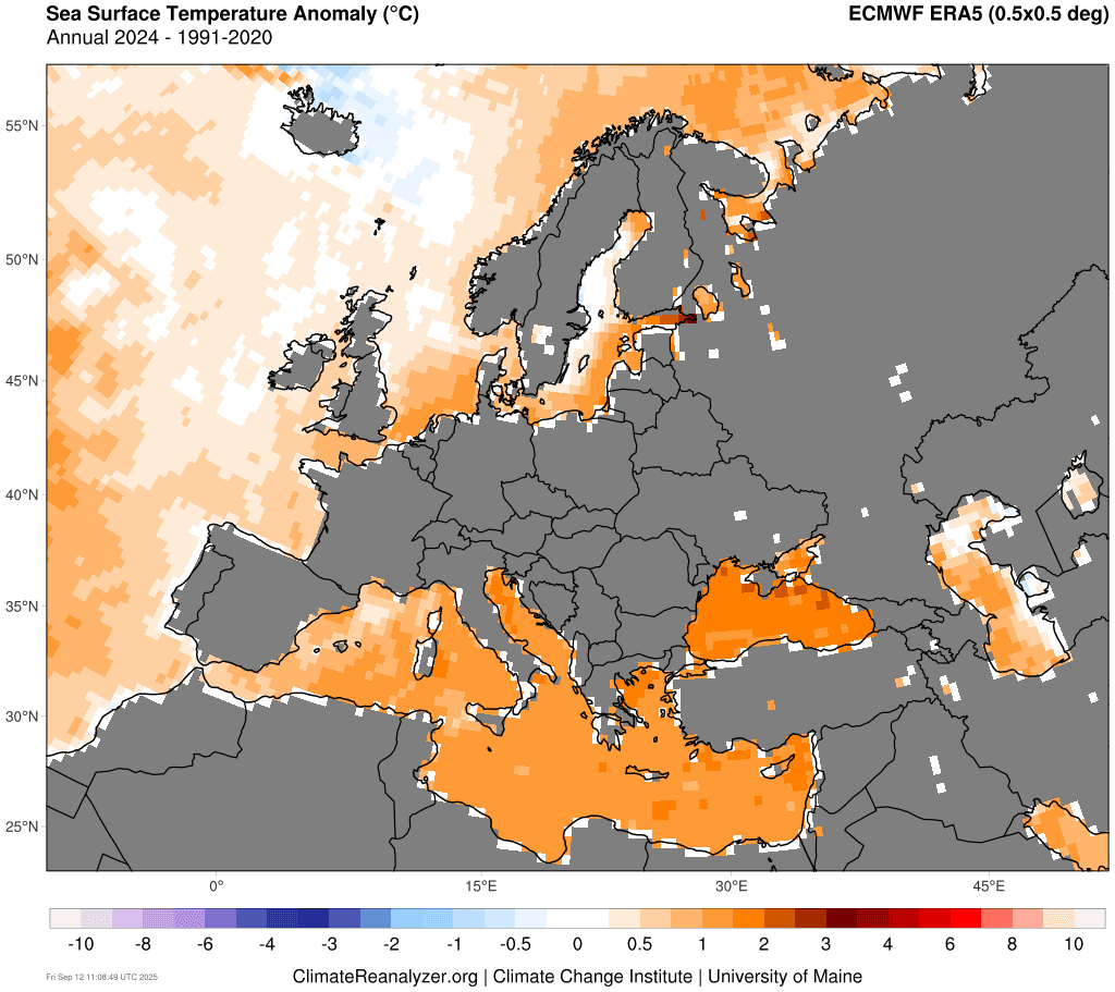 marmara denizi müsilaj, marmara denizi, müsilaj, marmara, marmara müsilaj