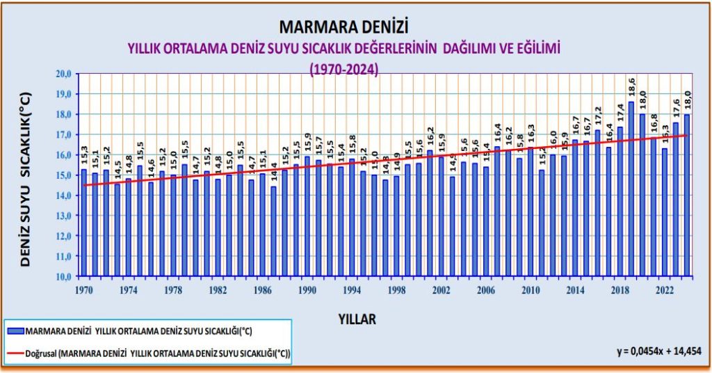 marmara denizi müsilaj, marmara denizi, müsilaj, marmara, marmara müsilaj