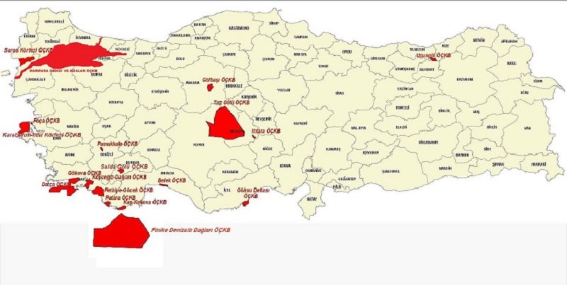 marmara denizi, marmara denizinde kırmızı pazartesi, marmara, marmara denizi müsilaj, müsilaj