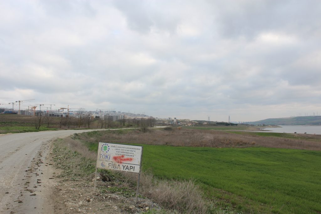 marmara denizi, marmara denizinde kırmızı pazartesi, marmara, marmara denizi müsilaj, müsilaj