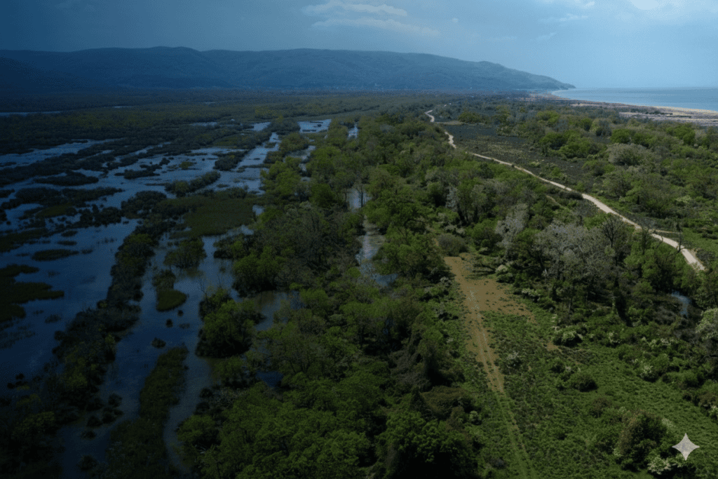 marmara denizi, marmara denizinde kırmızı pazartesi, marmara, marmara denizi müsilaj, müsilaj