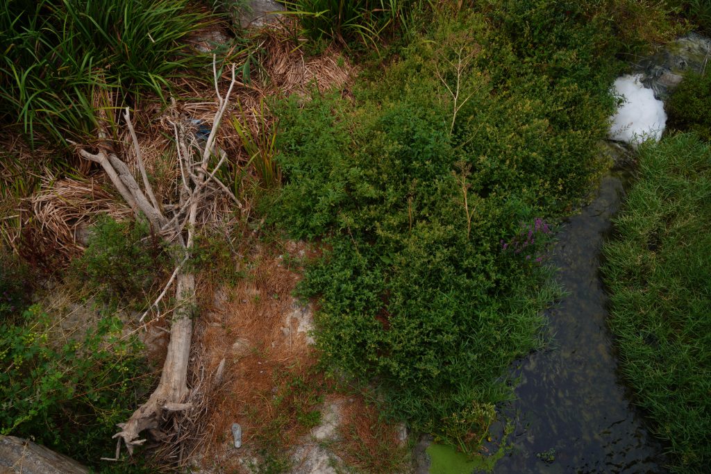 marmara denizi, marmara denizinde kırmızı pazartesi, marmara, marmara denizi müsilaj, müsilaj