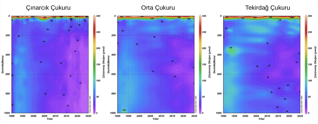 Marmara Denizi’nde Kırmızı Pazartesi -2 / Sahaya çıkan bilim insanları anlatıyor: Dört yıl sonra deniz bize ne söylüyor?