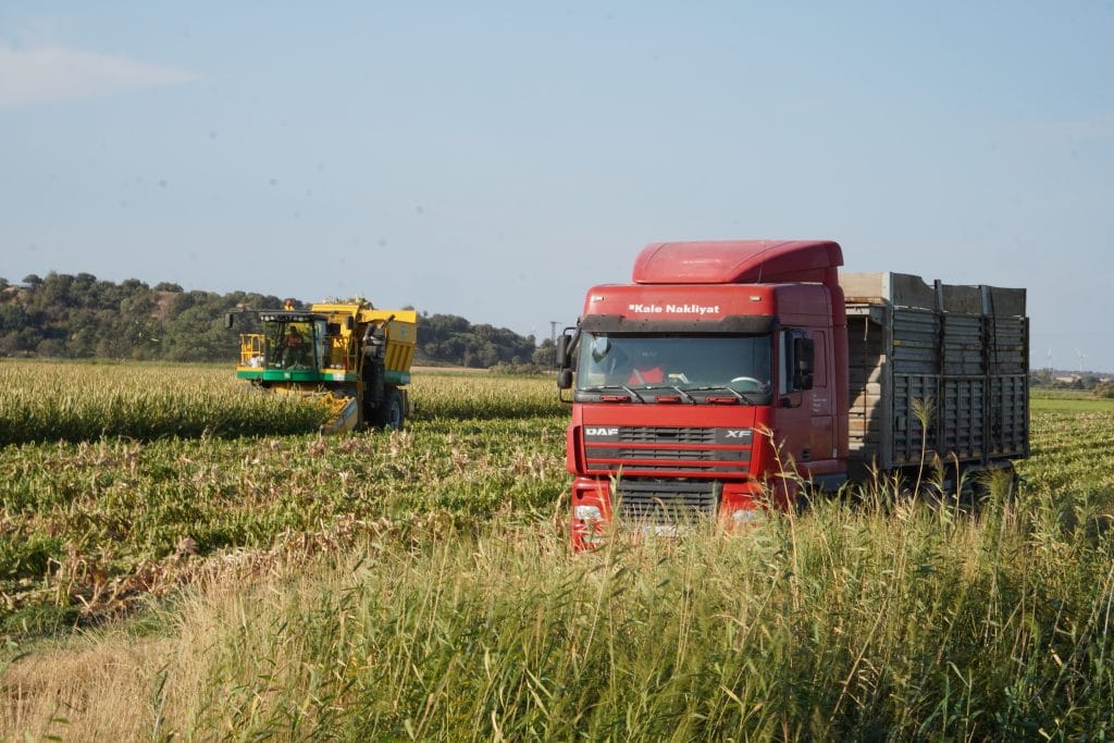 marmara denizi, marmara denizinde kırmızı pazartesi, marmara, marmara denizi müsilaj, müsilaj