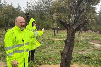 mustafa varank, mustafa varank milas, akbelen ormanı, milas ikizköy, yk enerji
