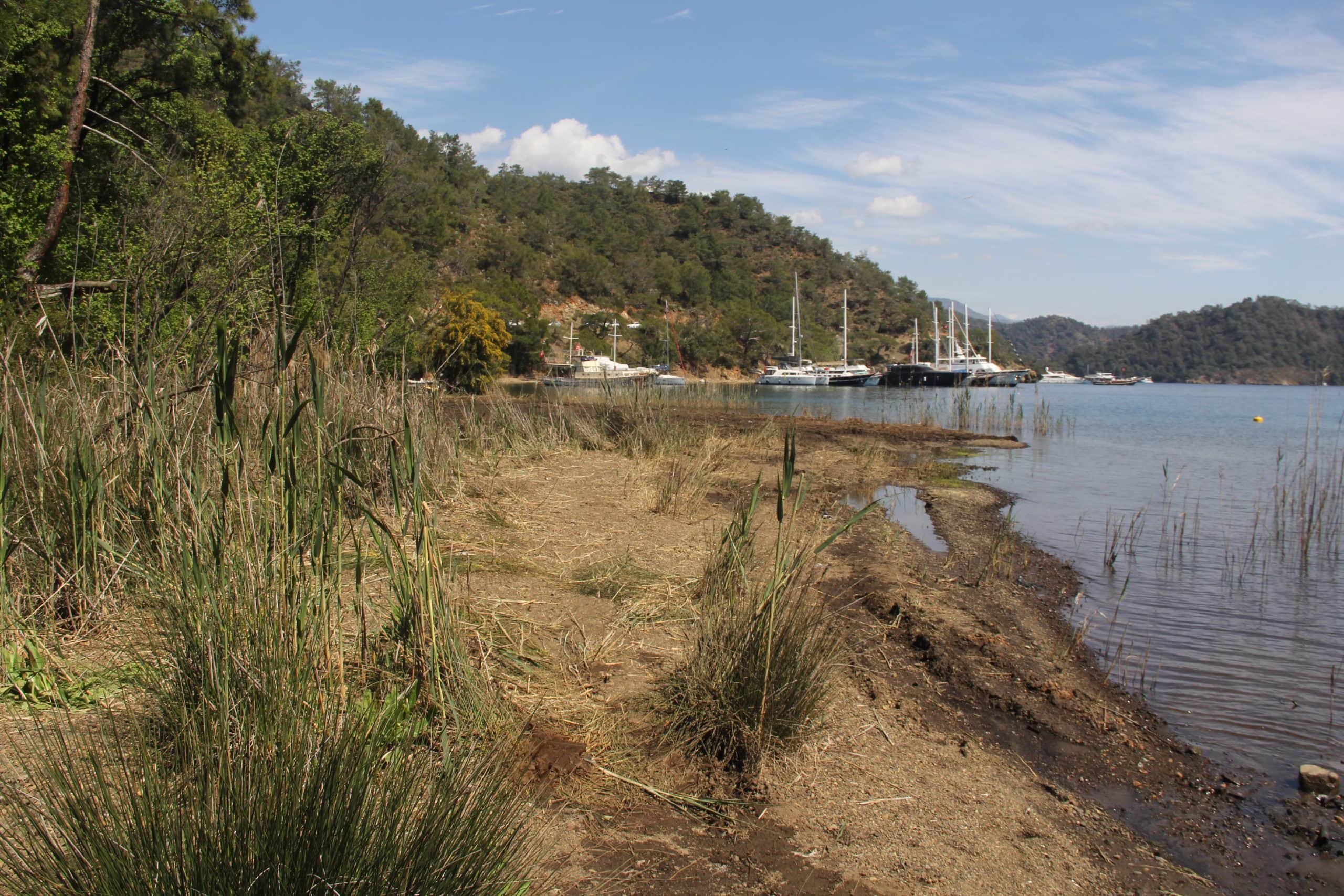 Yurttaşlardan Göcek Osmanağa Koyu’ndaki yapılaşmaya tepki: “Biz bu alanın ticarethane olmasına razı gelmiyoruz”