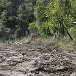 göcek, mahmut tanal, göcek osmanağa, mahmut tanal göcek, osmanağa koyu