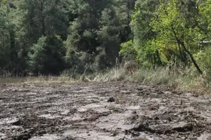 göcek, mahmut tanal, göcek osmanağa, mahmut tanal göcek, osmanağa koyu