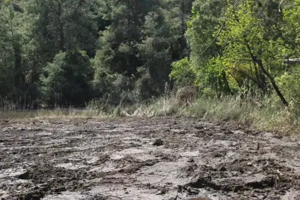 göcek, mahmut tanal, göcek osmanağa, mahmut tanal göcek, osmanağa koyu