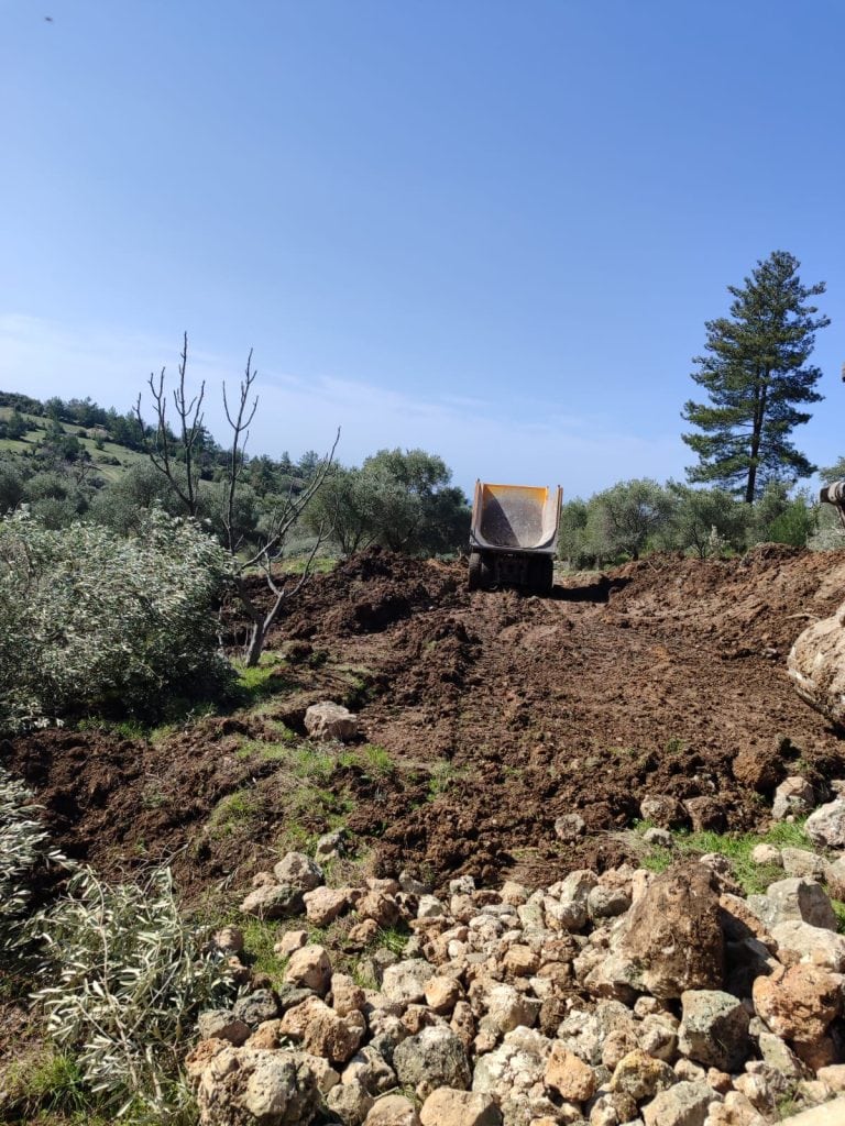 çamköy ağaç sökümü yk enerji ağaç söktü milas çamköy zeytinlik çamköy zeytin ağaçları yk enerji