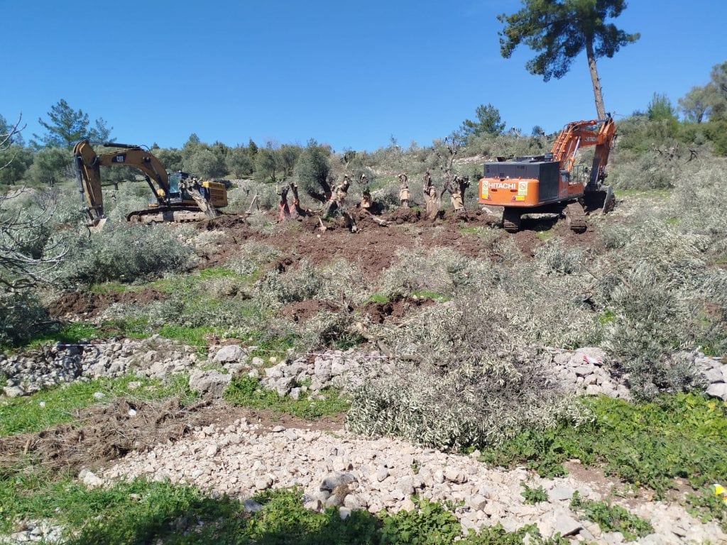 çamköy kuyucak mevki ağaç sökümü milas ikizköylü yurttaşlar nejla ışık çamköy mahallesi