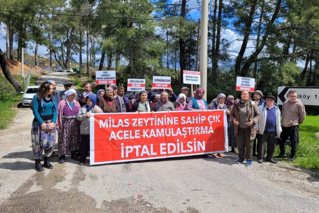 muğla akbelen, akbelen muğla, akbelen ormanları, akbelen nerde, akbelen