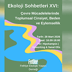 ekoloji sohbetleri fethiye ekoloji fethiye fetder fethiye ekolojik yaşam derneği özge yaka