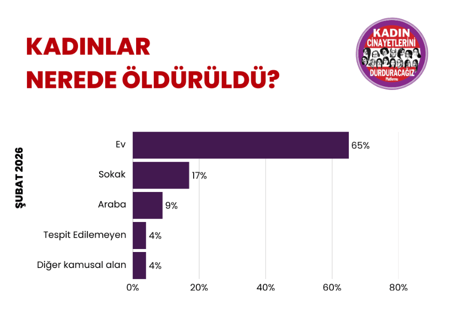 kadın cinayetleri, türkiye kadın cinayetleri, kadın cinayetleri istatistik, kadın cinayetleri 2026, kadın cinayetleri şubat