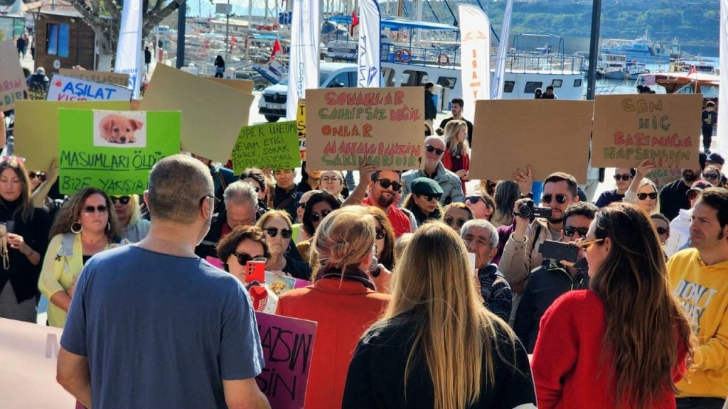 bodrum sokak hayvanları, bodrum sokak hayvanları eylem, bodrum eylem, bodrum, bodrum belediye meydanı