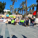 bodrum sokak hayvanları, bodrum sokak hayvanları eylem, bodrum eylem, bodrum, bodrum belediye meydanı