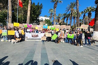 bodrum sokak hayvanları, bodrum sokak hayvanları eylem, bodrum eylem, bodrum, bodrum belediye meydanı