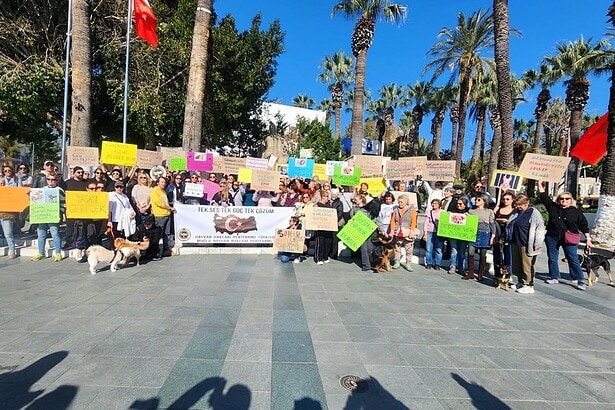 bodrum sokak hayvanları, bodrum sokak hayvanları eylem, bodrum eylem, bodrum, bodrum belediye meydanı