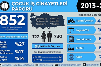 çocuk işçiliği raporu isig meclisi iş sağlığı ve güvenliği iş cinayeti çocuk işçi çocuk işçiliği raporu isig meclisi raporu