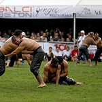 fethiye yağlı pehlivan güreşleri, fethiye belediyesi yağlı güreş, yağlı pehlivan güreşleri fethiye, fethiye yağlı güreş, yağlı güreş