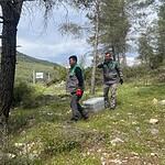 muğla terminatör böcek biyolojik mücadele kızılçam ormanları muğla muğla orman bölge müdürlüğü çam kese böceği mücadele