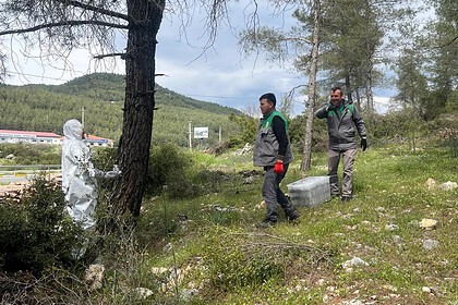 muğla terminatör böcek biyolojik mücadele kızılçam ormanları muğla muğla orman bölge müdürlüğü çam kese böceği mücadele