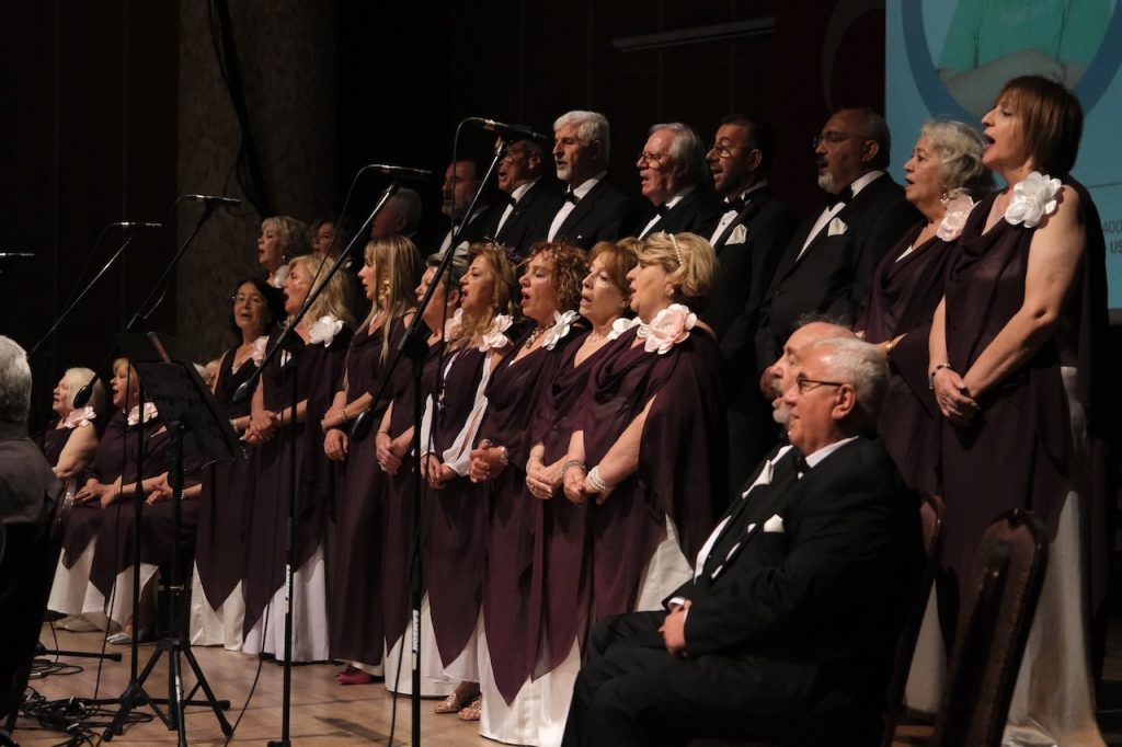 dmd, bodrum eymen için söyle yardım konseri, bodrum dmd eymen, dmd nedir, bodrum yardım konseri