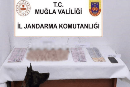 muğla operasyon, muğla uyuşturucu, muğla uyuşturucu operasyonu, uyuşturucu operasyonu, muğla jandarma