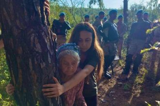 esra ışık imza kampanyası, esra ışık, akbelen, milas ikizköy, akbelen ormanı