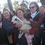 ikizköy, akbelen, nejla ışık, ikizköy muhtarı, akbelen ormanı