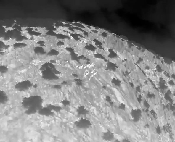 muğla yaban keçisi drone 